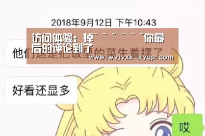 访问体验：掉~ ~ ~ ~ ~ ~你最后的评论到了