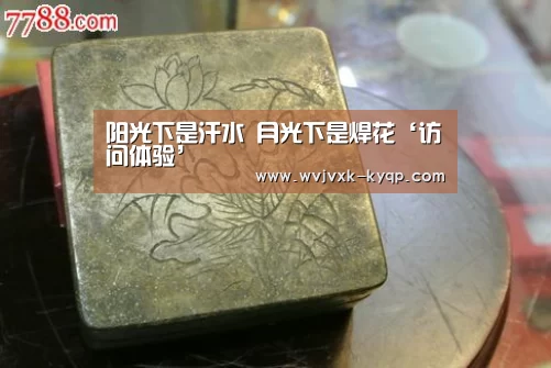 使用教程
