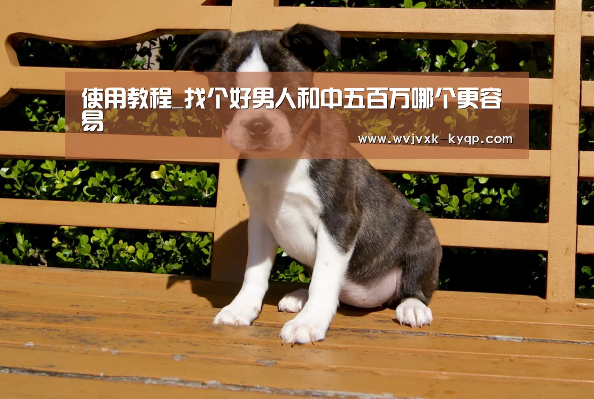 使用教程_找个好男人和中五百万哪个更容易