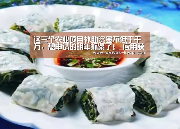 多端支持