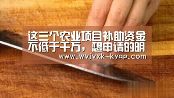 应用获取