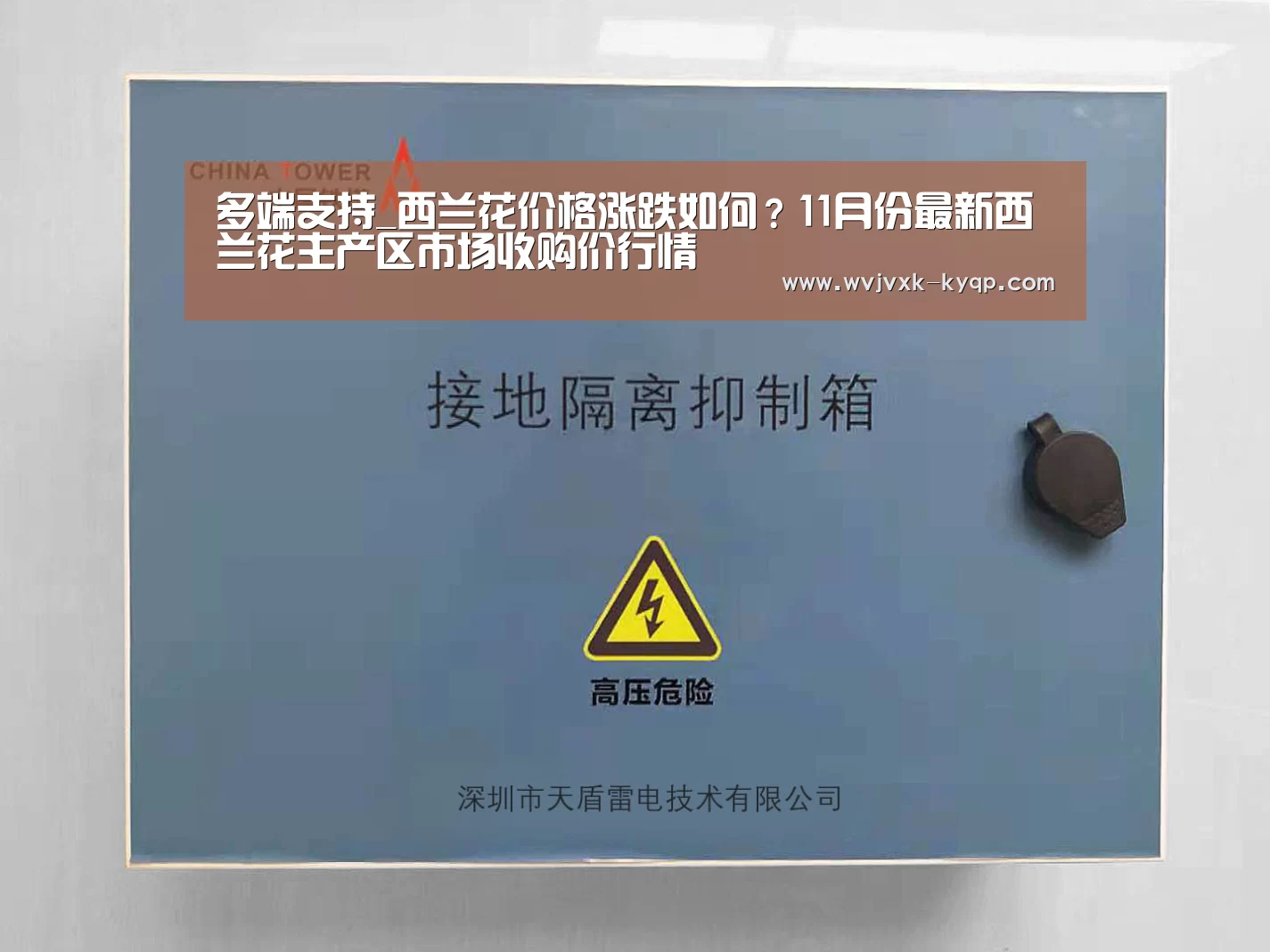 多端支持_西兰花价格涨跌如何？11月份最新西兰花主产区市场收