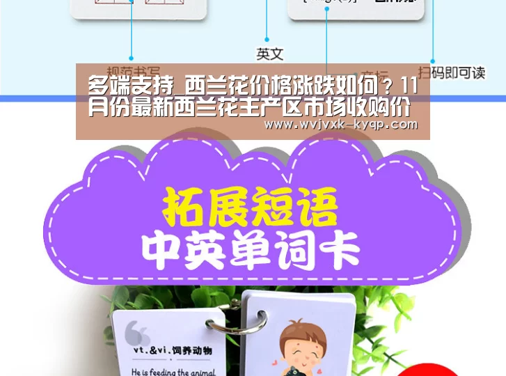 使用教程