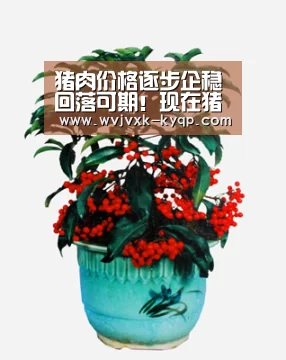 多端支持