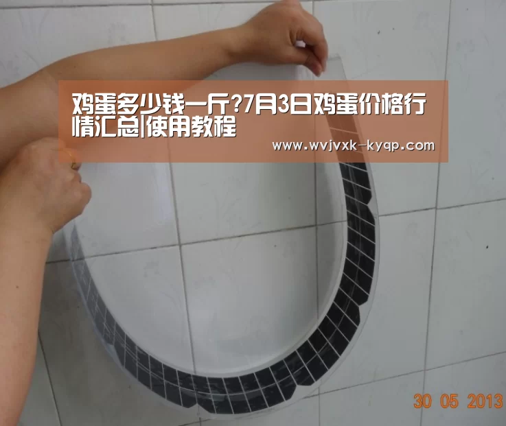 鸡蛋多少钱一斤?7月3日鸡蛋价格行情汇总|使用教程